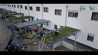 Bild zeigt die Begrünung von Carports 