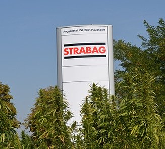 Dies zeigt eine Strabag Pylone und davor großen Industriehanf